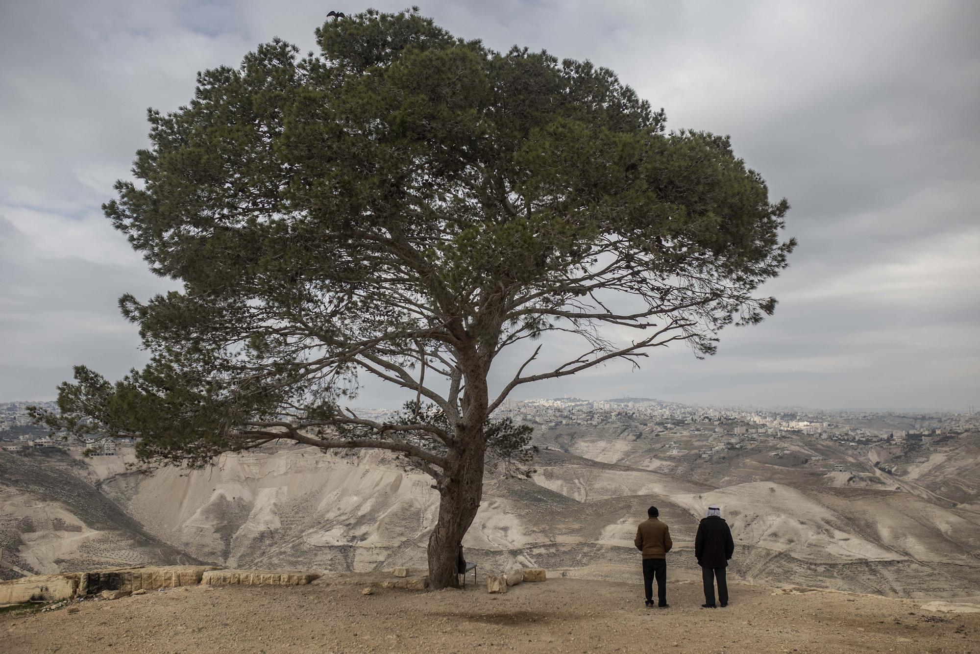 Palestina recurso nablus - 36
